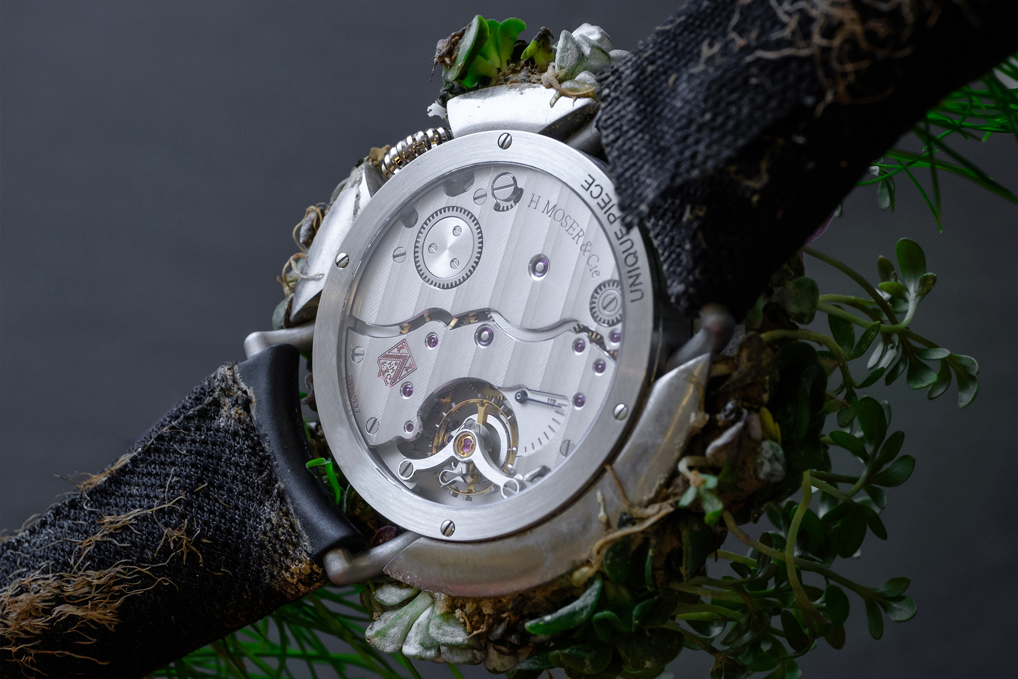 The Moser Nature Watch makes a bold statement for SIHH 2019