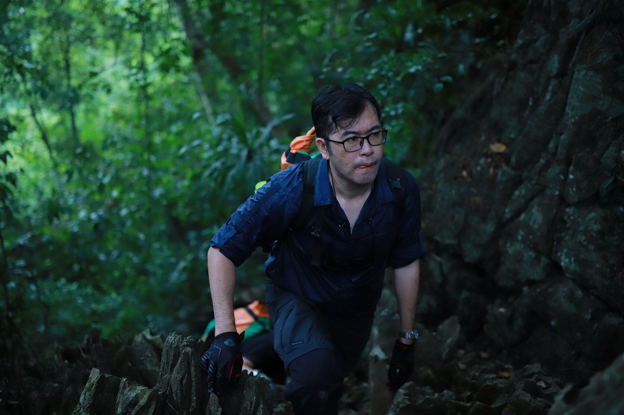 Natural Rock + Forest Standing Surfaces